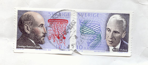brevet.jpg
