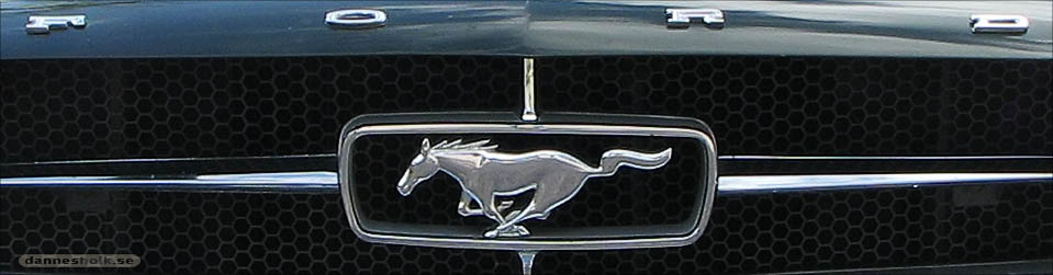 Ford Mustang 04 - Grill.jpg
