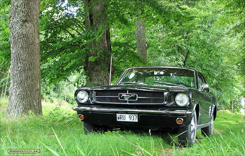 Ford Mustang 07 - I grönskan, framifrån.jpg
