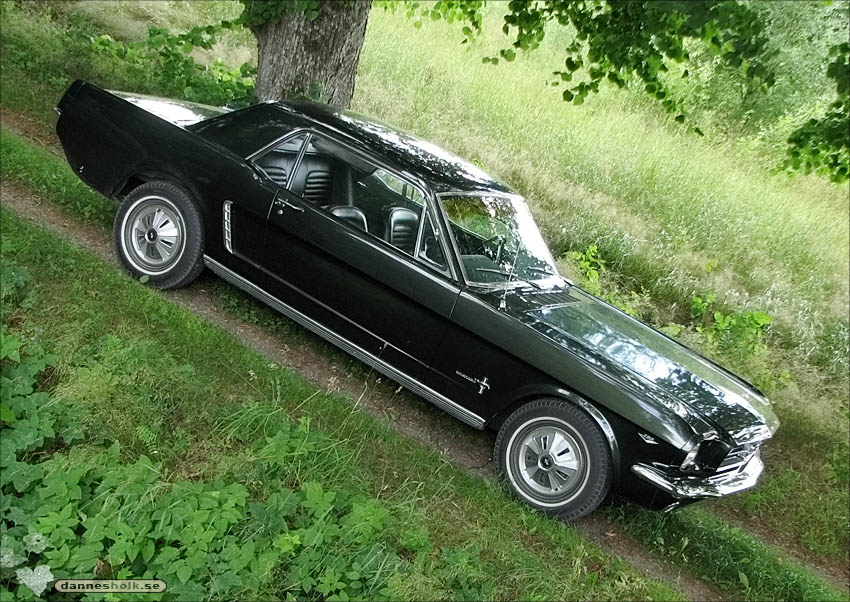 Ford Mustang 09 - I grönskan, sidan.jpg