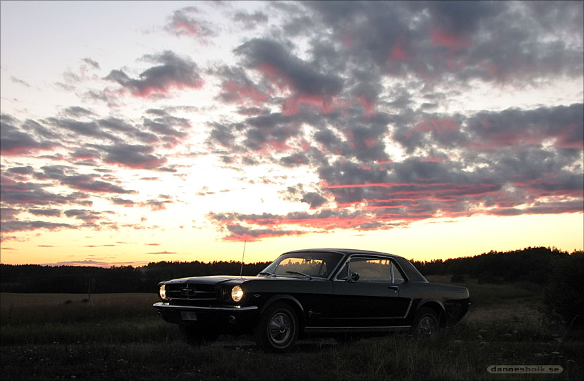 Ford Mustang 10 - Solnedgång 01.jpg