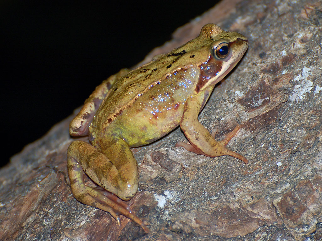 DSC_7035.jpg