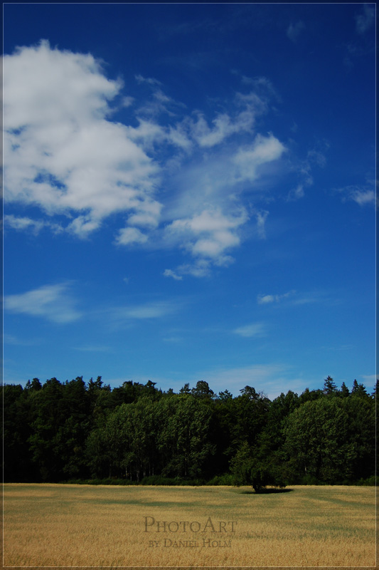 2007-07-26_15-32-16_1953.jpg
