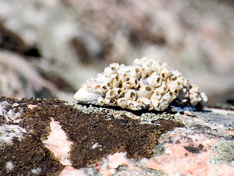stor1.jpg