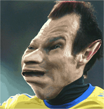 ljungberg-förvrängd.png