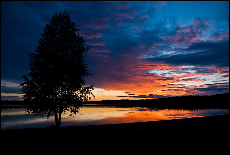 wf_DSC_5752.jpg
