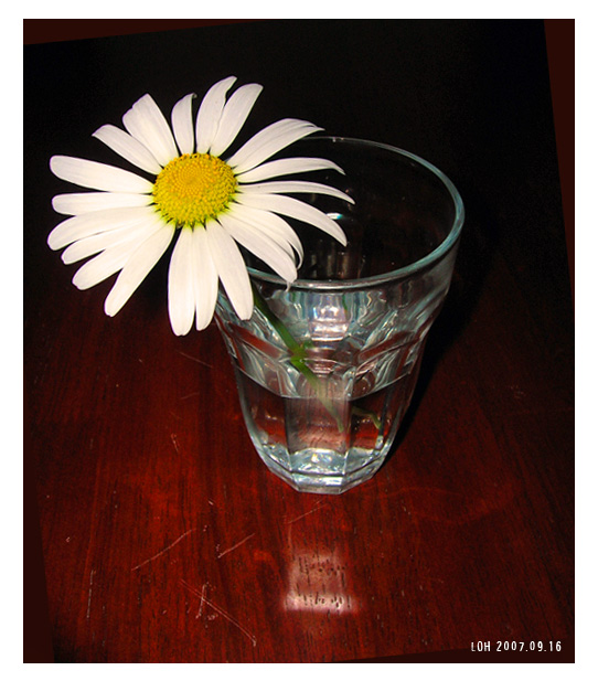 blomma.jpg