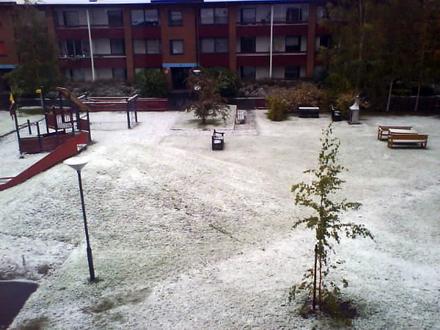 snow.jpg