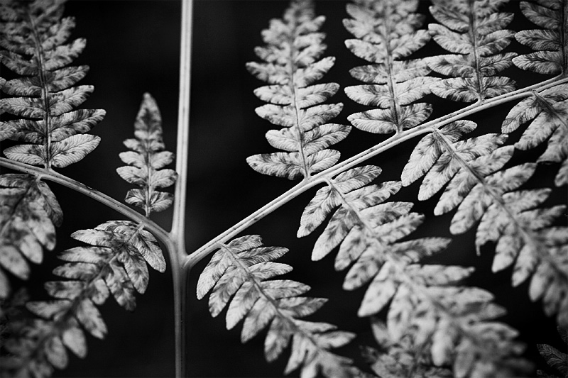 070922_symmetri.jpg