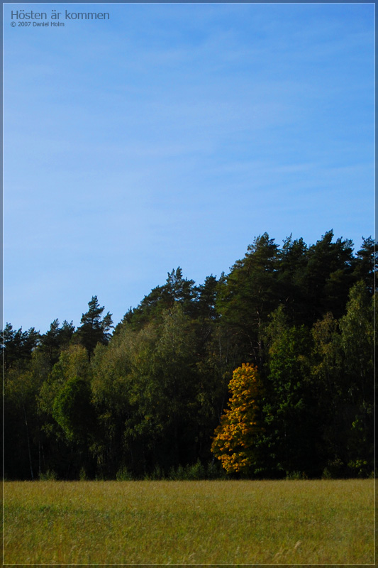 local_autumn.jpg