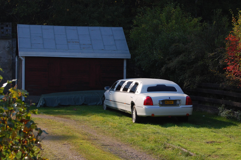 limo2.jpg
