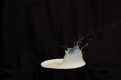milk2752_500.jpg