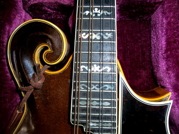 gibson_f5.jpg