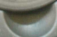 DSC00446.jpg
