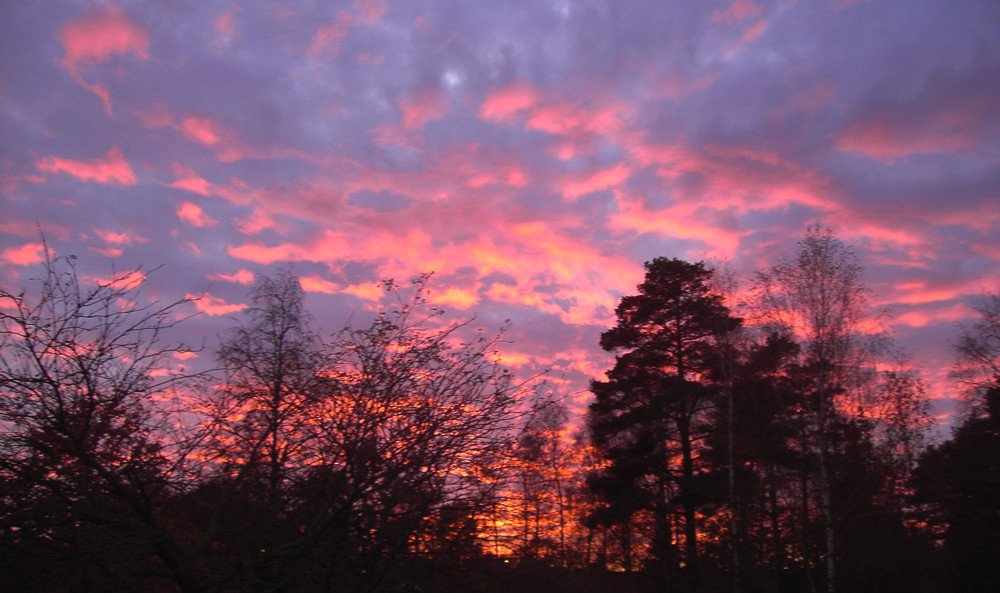 västkustsolnedgång.jpg