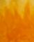 yellow.gif