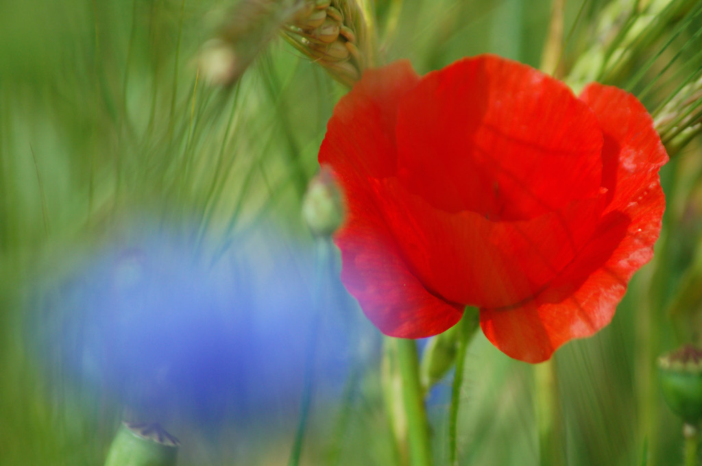 DSC_4346_edited-1.jpg