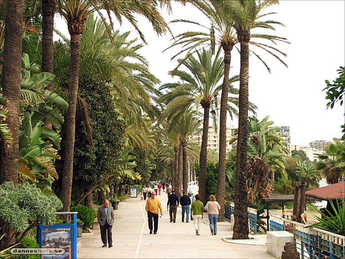 Spanien 2007 - Marbella 02.jpg