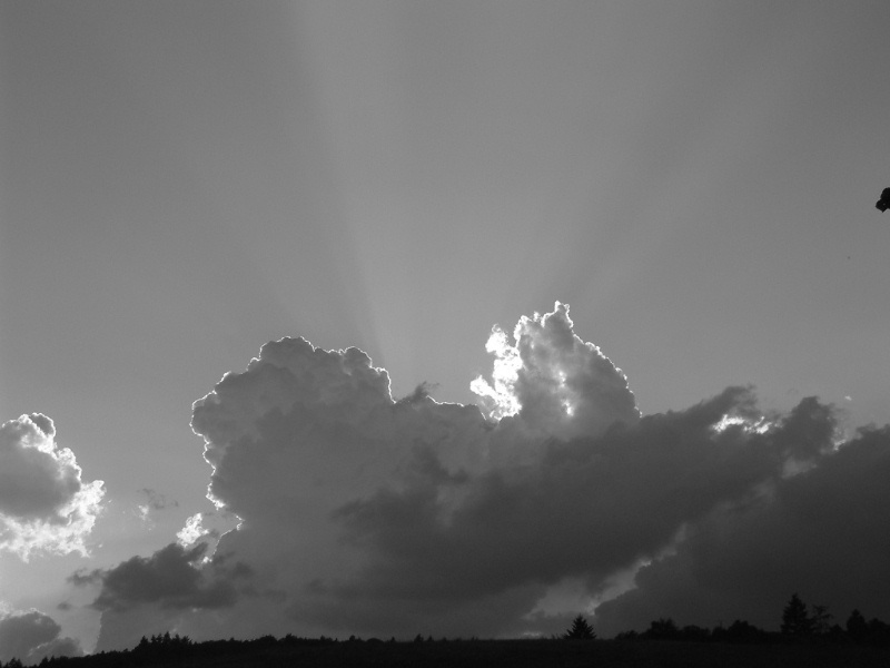 dscf0010.jpg