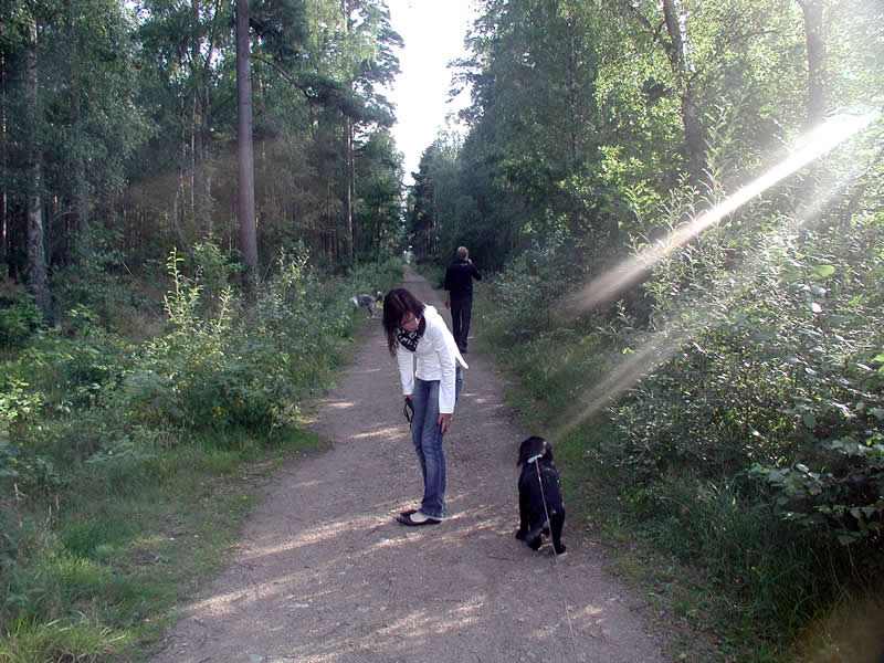 promenad.jpg