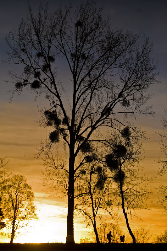 DSC_5637_edited-1.jpg