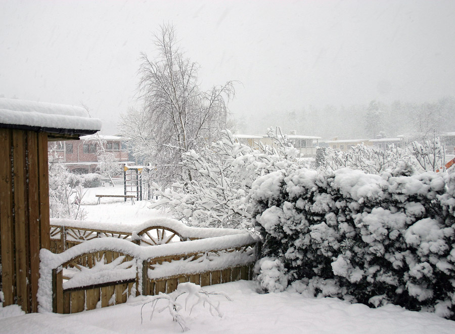 vinter9.jpg