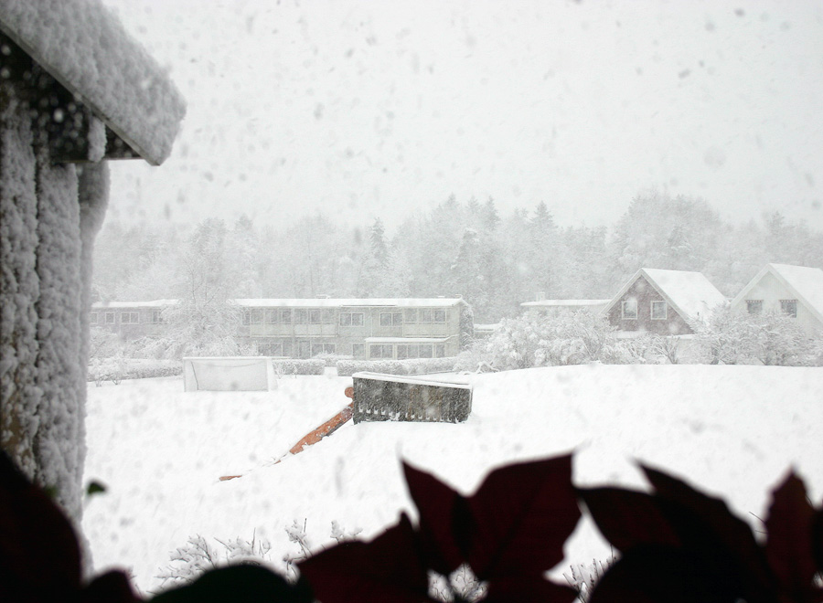 vinter10.jpg