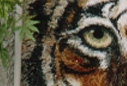 lookingAtYou.jpg