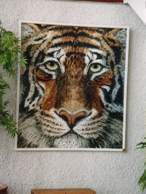tigerJudell.jpg