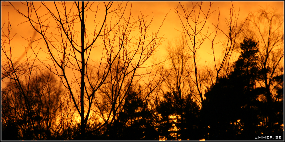 sunset_wide.png