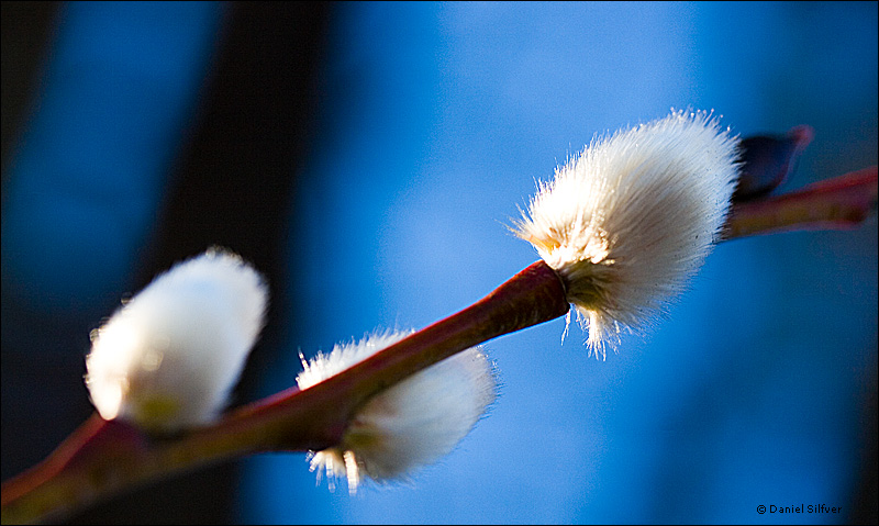 080214_vide.jpg