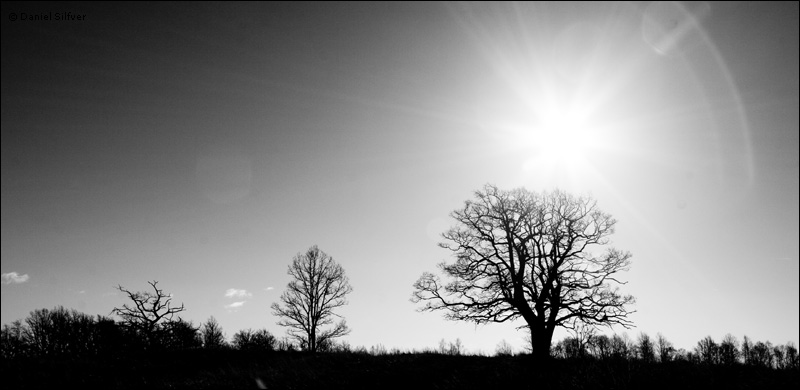 080214_sv.jpg