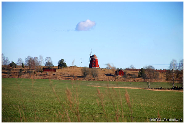 DSC_0173.jpg