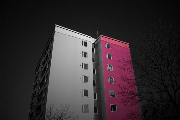 2008-03-07_12-19-22_4835.jpg