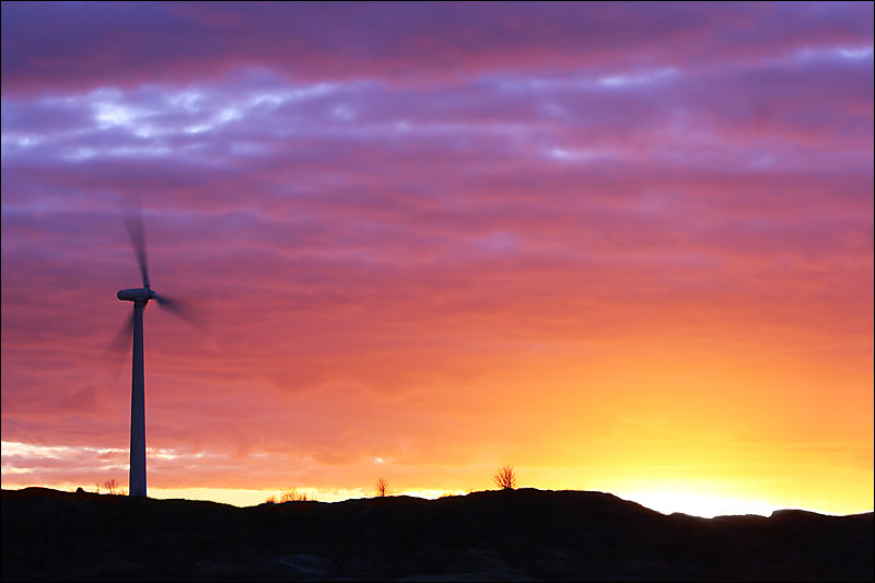 wind_turbines.jpg