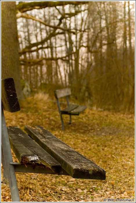 DSC_0724.jpg