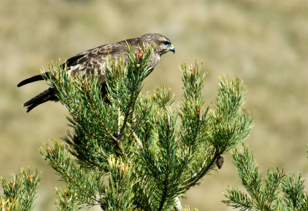 _DSC7669_0080.jpg