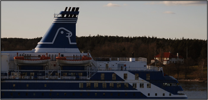 DSC_4203.jpg