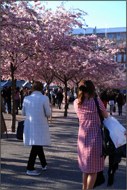 kungsan1.jpg
