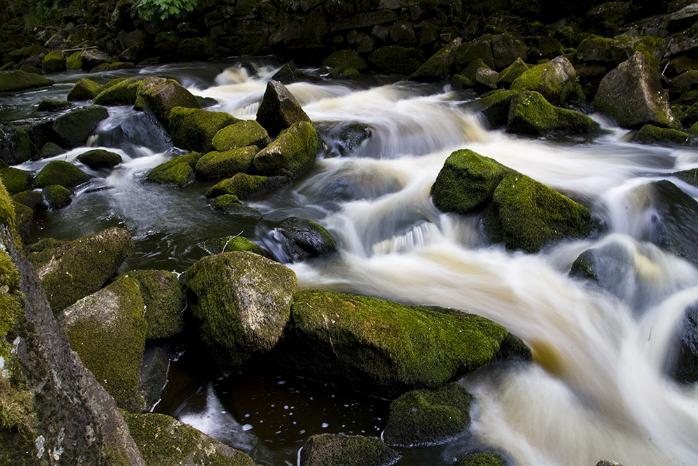 _MG_4997_1000.jpg