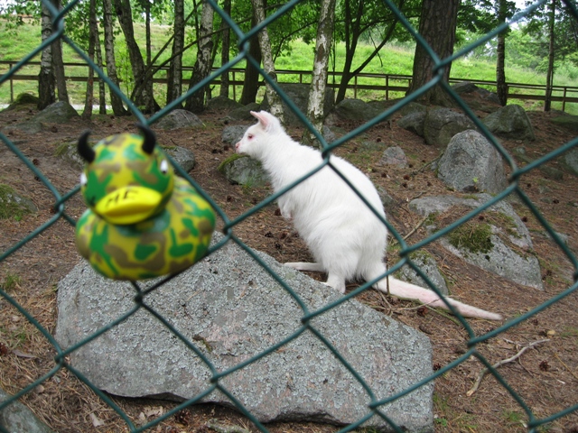 Tolken4.jpg