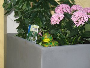 06.JPG