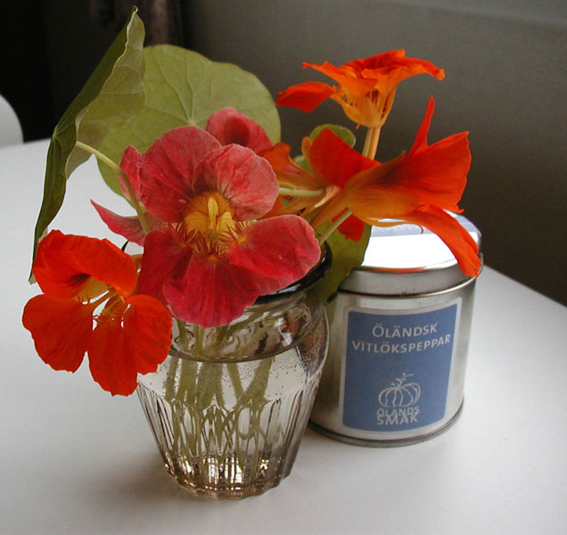blomma-0013.jpg