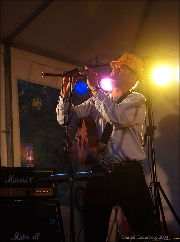 Pumpstocksfestivalen 2008 - Ale Möller Band 01 - Ale Möller.jpg