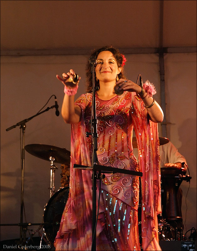 Pumpstocksfestivalen 2008 - Ale Möller Band 03 - Maria Stellas.jpg
