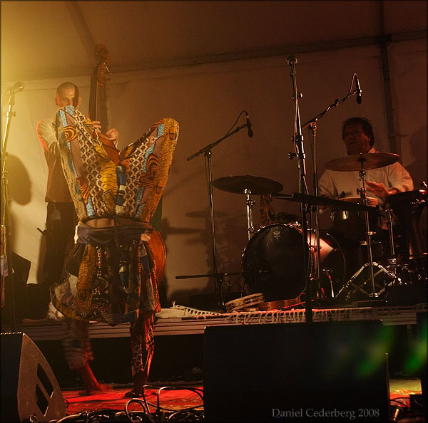 Pumpstocksfestivalen 2008 - Ale Möller Band 04 - Mamadou och andra.jpg