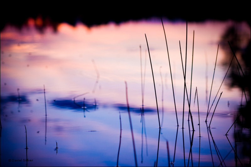 080801_mygg.jpg