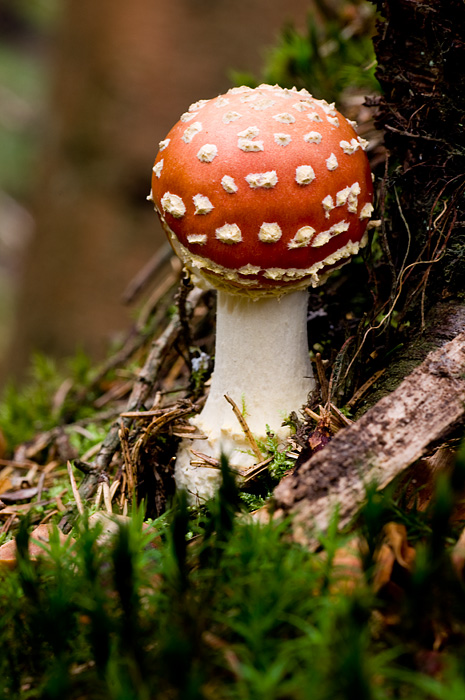 080915_4082.jpg