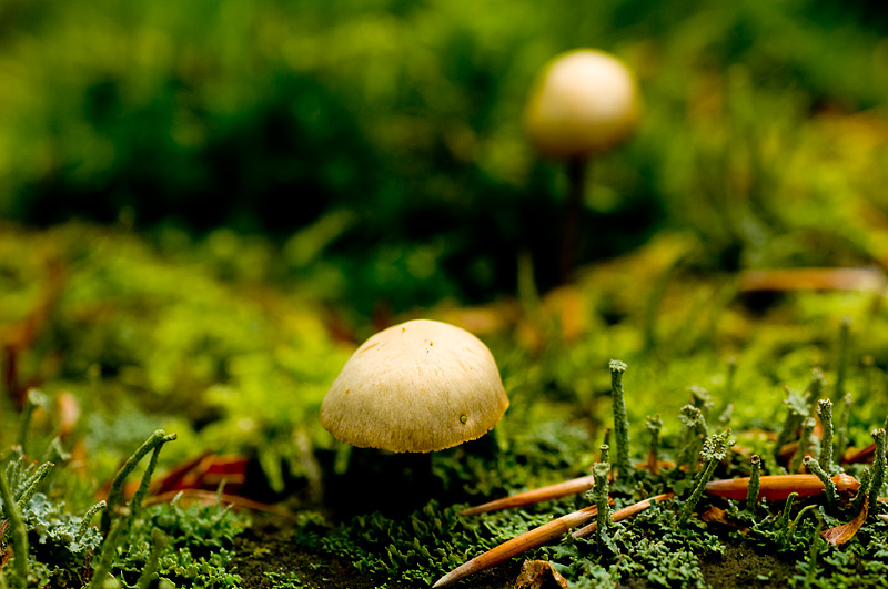 080915_4131.jpg