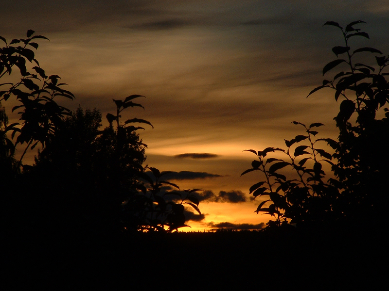 dscf0003-small.jpg
